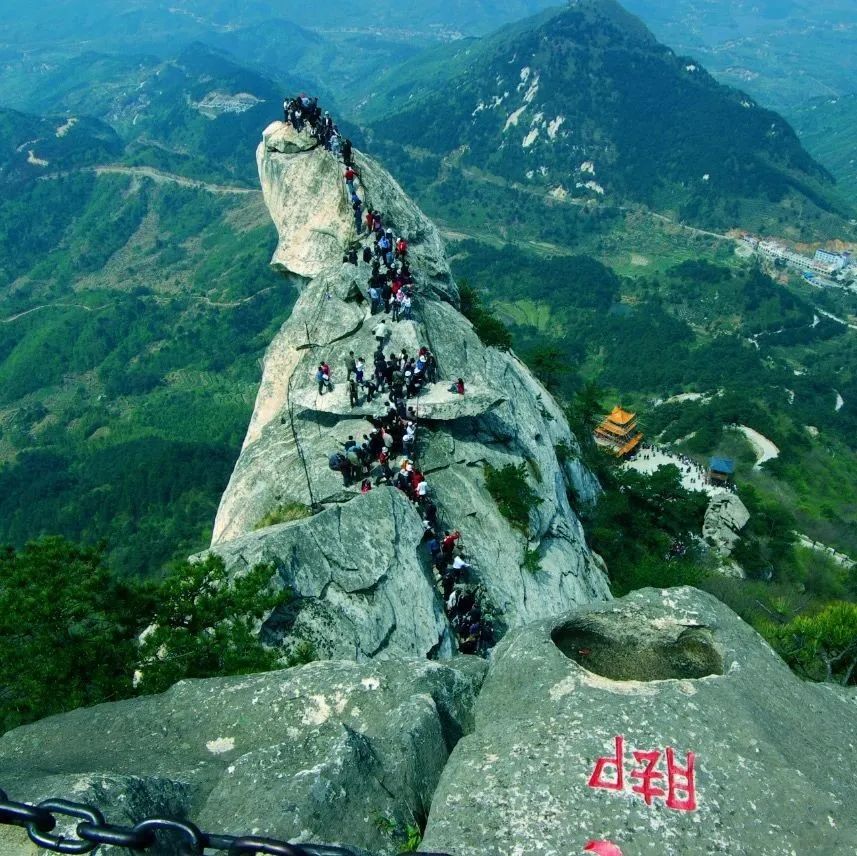 人間四月天,麻城看杜鵑!龜峰山十萬畝古杜鵑盛開迎五一